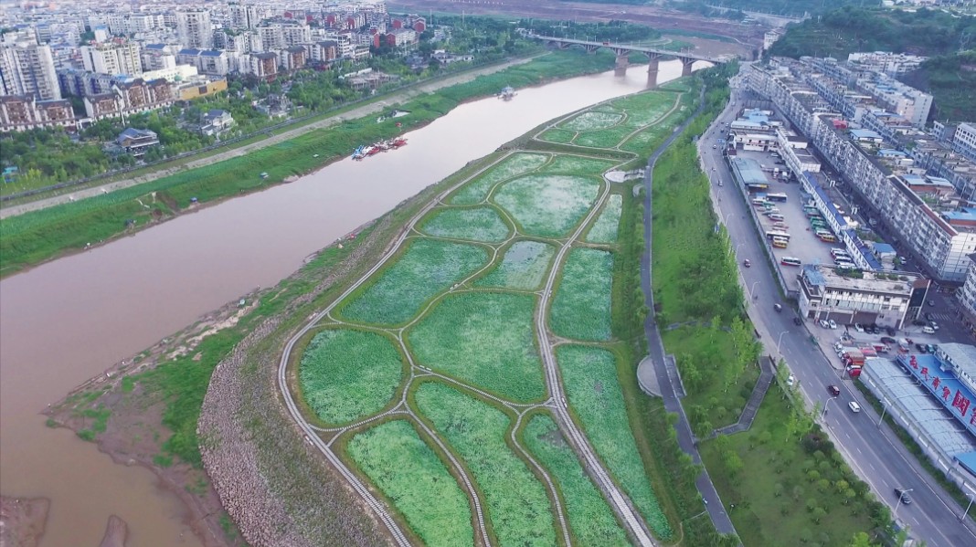生物多样性研究室